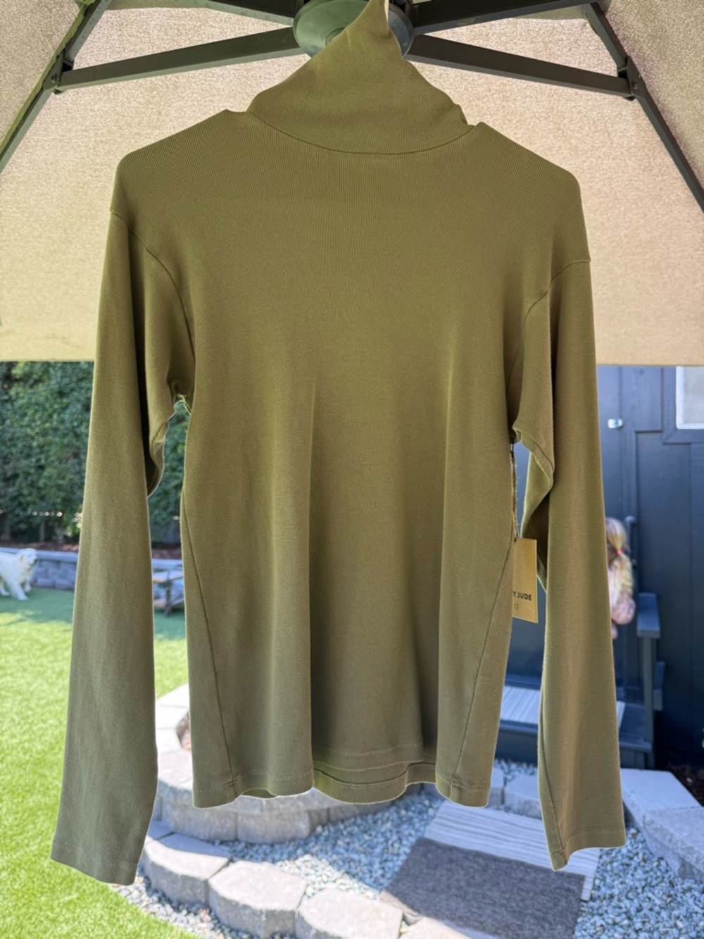 Rudy Jude Adult Classic Ribbed Turtleneck Top - Sage
